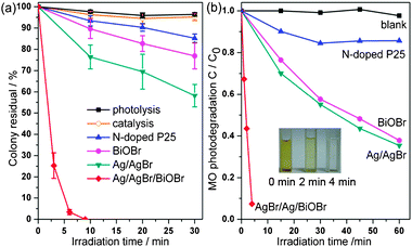 Photocatalytic (a) inactivation of E. coli and (b) degradation of MO under visible light irradiation (λ ≥ 400 nm). The insert demonstrates the color changes of MO over Ag/AgBr/BiOBr hybrid.