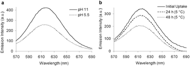 (a) Fluorescence spectra displaying the pH-triggered release of Nile Red from a solution of CCS polymers. (b) Fluorescence spectra as a function of time following the temperature-triggered release of Nile Red from a solution of CCS polymers.