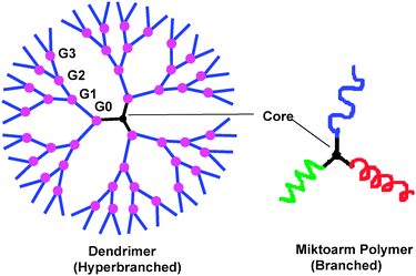 
          Dendrimer and miktoarm polymer architecture.