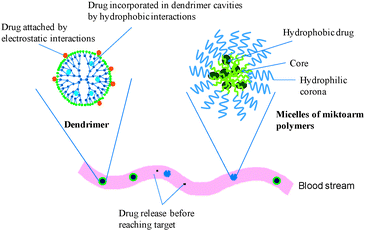 Schematic illustration of physical drug incorporation into dendrimers and micelles of miktoarm polymers with rapid drug release in the blood stream.
