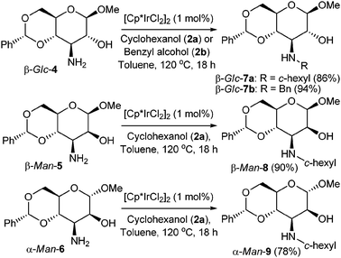 
          Alkylation of C3 carbohydrate amines with alcohols.