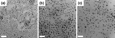 
          TEM images of (a) OA-coated CdSe/ZnS, (b) P2VP-coated CdSe/ZnS, and (c) (PyMMP-b-P2VP) coated CdSe/ZnS. Scale bar is 50 nm.