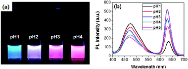 (a) Photographic image of (PyMMP-b-P2VP)-QDs solutions under irradiation at 365 nm using a UV lamp, and (b) PL spectra of (PyMMP-b-P2VP)-QDs.