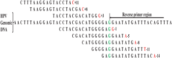 Selection of the probes complementary to the genomic DNA sequence.