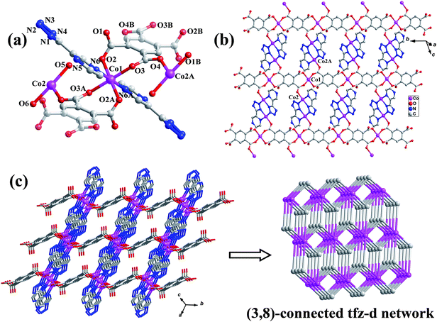 (a) The trinuclear CoII subunit of 1 (the centrosymmetric btec4− ligands are shaded differently, and H atoms are omitted for clarity; Symmetry codes: A = −x, 1 − y, 1 − z; B = 1 − x, −y, 1 − z). (b) 2D layer of 1. (c) 3D framework of 1 and its binodal (3,8)-connected tfz-d topological network.