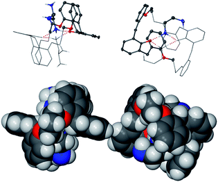 Ball shaped HC 2·(ethylenediamine)2assemblies of complex 2d (one ethylenediamine molecule is partially disordered). Top: ASU atoms represented as ellipsoids, non-ASU atoms in stick mode with thin bonds and hydrogen bonds as dotted red lines (all hydrogen atoms except those of the ammonium groups are removed for clarity). Bottom: with all atoms represented in space fill mode.