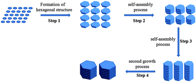 Schematic illustration of the morphological evolution of β-Ni(OH)2 nanostructures.