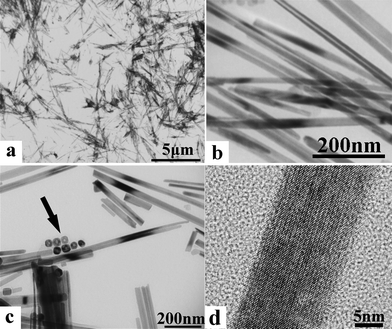 
          TEM images of PbS nanotubes/nanorods under different magnifications. The arrow in Panel c shows the coexisting hollow particles.