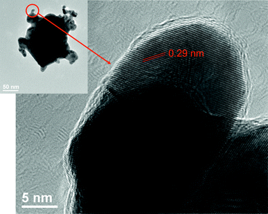 
          HR-TEM image of a branched Au@Au/Ag nanoparticle.