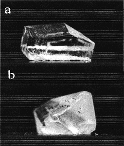 
          Glycine crystals grown on 100% OH (a) and on 50% OH (b) SAM surfaces.56