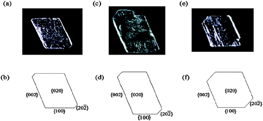 Crystallographic image and morphology of dl-valine crystals grown on (a,b) SAMs of 4-(4-mercaptophenyl)pyridine, (c,d) SAMs of 4′-hydroxy-4-mercaptobiphenyl, and (e,f) SAMs of 4′-methyl-4-mercaptobiphenyl.8