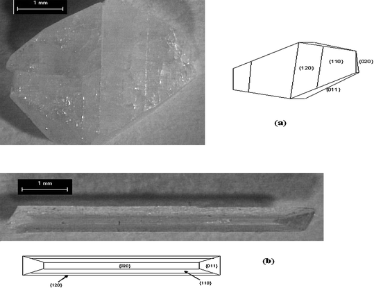 Habit Modification of α-Glycine (a) α-glycine crystal grown in aqueous solution has bipyramidal habit (b) α-glycine crystal on COOH terminated surfaces at moderate supersaturation shows needle-like morphology.