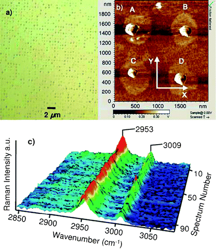 (a) Optical microscope image (×150) of 1600 μm2 and (b) AFM image of 4 μm2 of the 500 nm patterned SAMs on the silicon substrate. The crystals dimensions are: (A) 250 × 220 × 74 nm3, (B) 230 × 205 × 70 nm3, (C) 180 × 160 × 57 nm3, and (D) 220 × 190 × 65 nm3. (c) Raman spectra of 100 individual glycine crystals found on the patterned SAMs.58