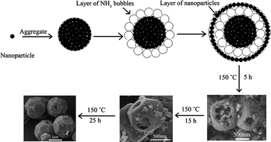 Schematic illustration describing the formation of ZnSn(OH)6 hollow core-shell polyhedral microcrystals.