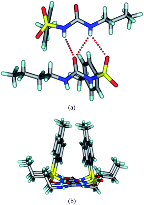 (a) The urea tape structure sustained by N–H⋯O hydrogen bonds in the new form V of tolbutamide. (b) The tolyl groups and butyl chains reside on the same side of the urea tape motif.