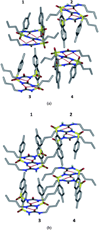 The difference in the direction of the urea tape in form V compared to form IV of tolbutamide. A molecular cluster of four adjacent urea tapes is shown in both cases (1, 2, 3 and 4). (a) In polymorph V, the direction of urea tapes 1 and 2 are the same (carbonyl pointing away from the reader) but opposite for 3 and 4 (carbonyl group pointing towards the reader). (b) In form IV, urea tapes 1 and 3 are in the forward direction but 2 and 4 point away.