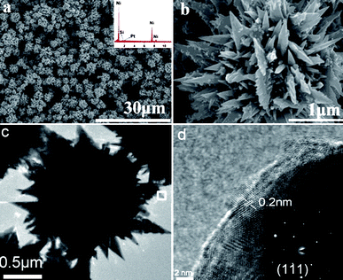 (a) Low magnification SEM image of Ni microflowers and the EDS pattern (inset). (b) High magnification SEM image of Ni microflowers. (c) Representative TEM image of the Ni microflowers. (d) HRTEM image of the edge area of the microflower shown in (c). Inset: SAED pattern of the microflowers.