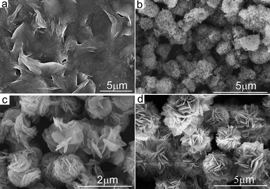 SEM images of the samples obtained by hydrothermal treatment at 80 °C for different time intervals. (a) 0.5 h, (b) 2 h, (c) 8 h and (d) 16 h.