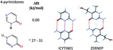 Energy differences in tautomers of 4-pyrimidones and hydrogen bonding complementarity in derivatives of 2-amino-4-pyrimidones.