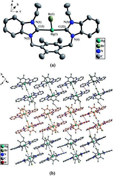 
            (a) Perspective view of 2c and anisotropic displacement parameters depicting 30% probability. All hydrogen atoms and anion 0.5[HgBr4]2− were omitted for clarity. Selected bond lengths (Å) and angles (°): Hg(1)–C(1) 2.097(6), Hg(1)–Br(1) 3.076(1); C(1)–Hg(1)–C(22) 173.7(3), C(1)–Hg(1)–Br(1) 90.4(2), N(1)–C(1)–N(2) 107.5(5), N(3)–C(22)–N(4) 108.2(6). (b) The 2D supramolecular layers by the weak Hg⋯Br bonds, π–π interactions and C–H⋯π contacts in 2c. All hydrogen atoms except those participating in the C–H⋯π contacts were omitted for clarity.