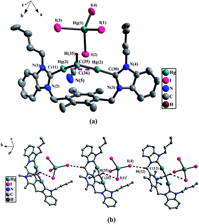 
            (a) Perspective view of 2d and anisotropic displacement parameters depicting 30% probability. All hydrogen atoms except that in the [CHCN]2− were omitted for clarity. Selected bond lengths (Å) and angles (°): N(5)–C(36) 1.167(1), C(35)–C(36) 1.398(1), Hg(3)–C(11) 2.084(8); N(5)–C(36)–C(35) 177.9(1), C(30)–Hg(2)–C(35) 176.9(3), C(36)–C(35)–Hg(3) 113.5(6), C(36)–C(35)–Hg(2) 114.7(7), N(1)–C(11)–N(2) 107.5(7), N(3)–C(30)–N(4) 106.9(7). (b) The 1D supramolecular chains by the C–H⋯I hydrogen bonds in 2d. All hydrogen atoms except those participating in the C–H⋯I hydrogen bonds were omitted for clarity.