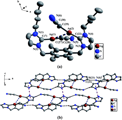 
            (a) Perspective view of 2e and anisotropic displacement parameters depicting 30% probability. All hydrogen atoms were omitted for clarity. Selected bond lengths (Å) and angles (°): C(27)–C(28) 1.259(5), N(5)–C(28) 1.071(9), Ag(1)–C(7) 2.058(7), C(29)–C(30) 1.276(5), N(6)–C(30) 1.092(5); Ag(2)–C(22) 2.066(7); N(5)–C(28)–C(27) 178.2(1), C(28)–C(27)–Ag(1) 165.7(6), C(30)–C(29)–Ag(2) 158.9(1), N(3)–C(22)–N(4) 103.3(6), N(6)–C(30)–C(29) 169.1(1), N(1)–C(7)–N(2) 102.8(6). (b) The 1D double-strand supramolecular chains by the π–π interactions and C–H⋯N hydrogen bonds in 2e. All hydrogen atoms except those participating in the C–H⋯N hydrogen bonds, all methyl groups on durenes and all butyl groups on the nitrogen atoms were omitted for clarity.