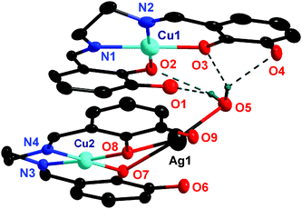 Crystal structure of [{CuIILAgI(H2O)}{CuIIL}](ClO4) (4). Thermal ellipsoids: 85% for Cu; 90% for Ag; 45% for C; 50% for N and O; 30% for H. Hydrogen atoms, except those of the water molecule are omitted. The perchlorate anions and the ethoxy carbon atoms are also not shown for clarity.