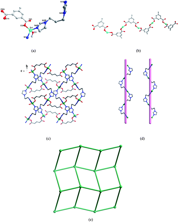 (a) Coordination environment of Zn(ii) ion in 1. The hydrogen atoms are omitted for clarity. A: x, −y + 5/2, z + 1/2 B: −x + 1, y + 1/2, −z + 1/2. (b) The 1D chain constructed by L1 anions and Zn(ii) atoms along the c axis. (c) 2D layer of 1. (d) View of left- and right-handed helical chains. The H2L1 groups are omitted for clarity. (e) Schematic representation of the (4,4) net topology.