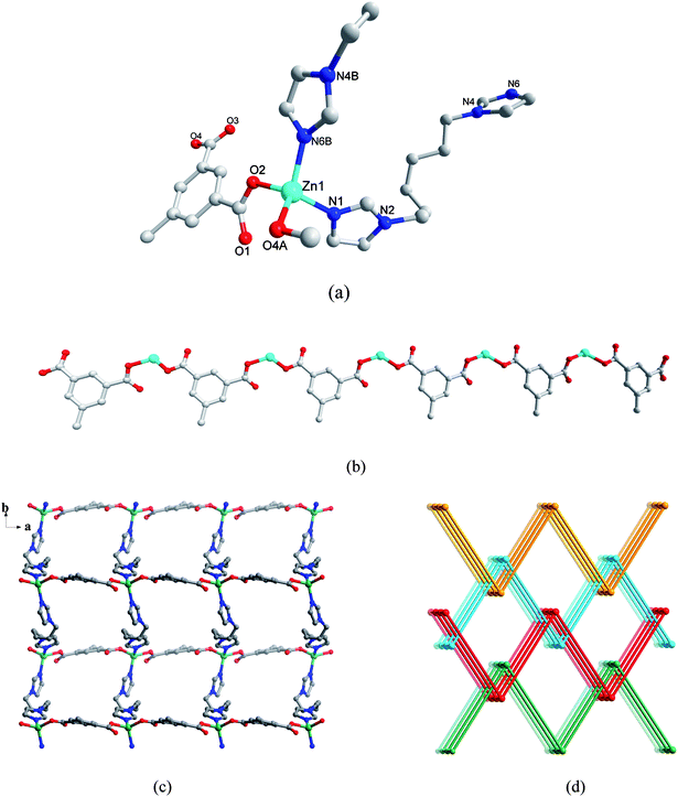 (a) Coordination environment of Zn(ii) ion in 2. The hydrogen atoms are omitted for clarity. A: x − 1, y, z B: −x + 1/2, y + 1/2, −z + 1/2. (b) The 1D chain constructed by L1 anions and Zn(ii) atoms along the a axis. (c) 2D layer of 2. (d) A schematic view of the 3-fold interpenetrating architecture of 2.