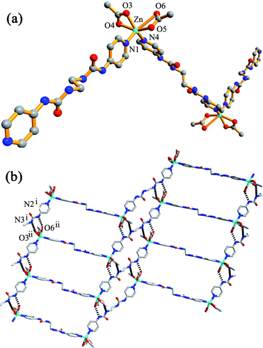 (a) Part of the zigzag chain in 1; (b) 2D network formed by N–H⋯O hydrogen bonding. Hydrogen bond parameters (Å, °): N2i⋯O6ii, 2.8987(52); N2i–H2A⋯O6ii, 141.47; N3i⋯O3ii, 2.9521(61); N3i–H3⋯O3ii, 164.82. Symmetry codes: (i) −1 − x, 4 − y, 1 − z; (ii) −1 − x, 3 − y, 1 − z.