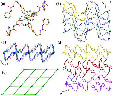 Crystal structure of 2. (a) The coordination environment of the cadmium atom; (b, c) top view and side view of the corrugated sheet with the (4,4) net topology; (d) Hydrogen bonds between the 2D sheets; (e) Topological representation of the (4,4) connected network. Symmetry codes: (i) 0.5 − x, 0.5 − y,1 − z; (ii) x, −y, 0.5 + z; (iii) 0.5 − x, 0.5 + y, 0.5 − z.