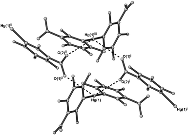 Ball and stick representation of 2a showing bidentate m-NO2 bridging of two [Hg(C6F4-m-NO2)2] molecules with supramolecular Hg⋯O contacts as dotted lines. Symmetry operators: (i) x − ½, ½ − y, z − ½; (ii) 1½ − x, ½ − y, 2½ − z; and (iii) 1 − x, −y, 2 − z.