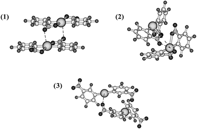 Gas-phase optimized structures of the dimeric models of [Hg(C6F4-o-NO2)2] (1 and 2) and [Hg(C6F4-m-NO2)2] (3).