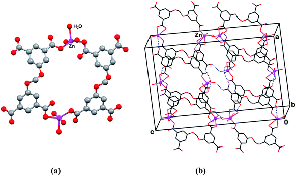 Compound 1. (a) Cyclic dimer of the zinc ion complex. Note the flattened conformation of the organic ligand. (b) View of the crystal structure and the intermolecular hydrogen bonding (dotted lines). The non-coordinated water molecules and their hydrogen bonding are omitted for clarity.