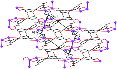 Crystal structure of framework polymer 11, viewed down the b-axis of the crystal. Note the tetra-nuclear silver ion connectors (spheres) that crosslink between the (H2L′)2− and bpy species. Only one set of the atomic positions of the disordered silver ions is shown.
