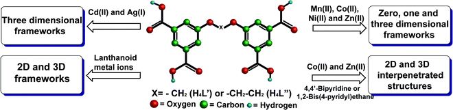 Coordination chemistry of H4L′ and H4L″ towards d- and f-transition metal ions.