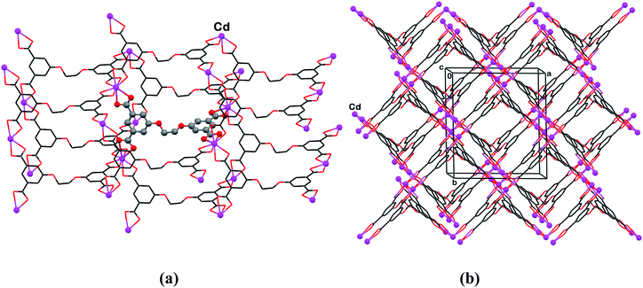 (a) The diamondoid-type coordination scheme in 6, revealing tetrahedral binding geometries around the Cd2+ and (L″)4− components of the polymer. The ligand in the center and all Cd-ions are denoted by small spheres. (b) The doubly interpenetrated architecture of the polymeric assemblies, with channel voids propagating through it parallel to the a-axis of the crystal. The disordered DMF species, which accommodate these channels, are not shown.