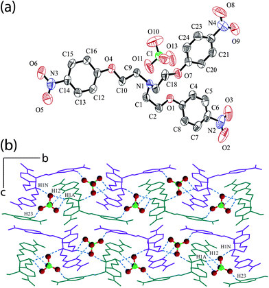 (a) ORTEP plot of complex 4. (b) Crystal packing diagram of complex 4 viewed down the a-axis showing the formation of zipper-like assembly and hydrogen bonding interactions of perchlorate anion (blue dotted lines) with adjacent cationic receptor molecules.