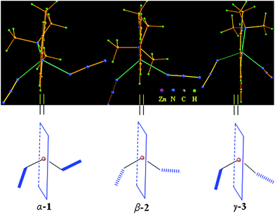 Orientation of two coordinated azide ions in reference to the basal chelating plane of ligand usy-L4 in three conformational isomers α-1, β-2 and γ-3.