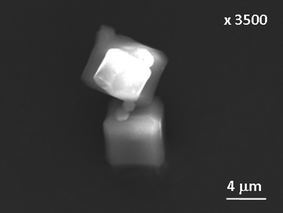 
          SEM image of MOF-14 crystals prepared at 110 °C for 3 hours.