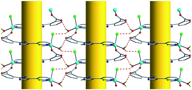 H-bonding interactions (red dish lines) between single-helical chains, viewed from the crystallographic a-axis, golden cylinders representing 21 screw axes.