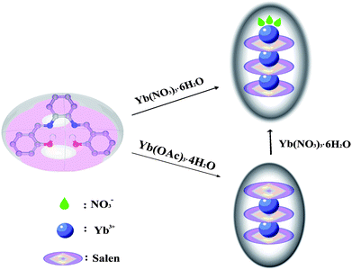 A schematic illustration of the structural relationship between 1 and 2.