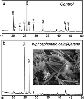 
          XRD patterns of barium sulfate particles formed on a 4 L batch scale, in the presence of (a) 0 mM (control) and (b) 0.0134 mM 2.