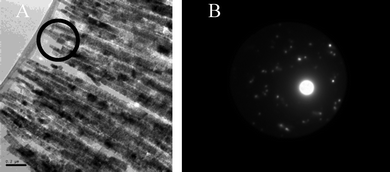 
          Barium sulfate particles formed in the presence of (A) 0.0134 mM 2 (4 L batch), and (B) SAED of the area within the highlighted circle in (A).