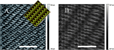 Atomic resolution AFM images of the barite crystal surface in the presence of (A) sulfonated calixarene 1 (simulatedSimulation of the (001) barium sulfate surface using the iso-surfaces functionality in GDIS.11 image for pure barium sulfate overlaid) and (B) phosphonated calixarene 2 (size bars represent 4 and 2 nm respectively).