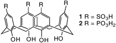 
          Calixarene molecules investigated in this work.