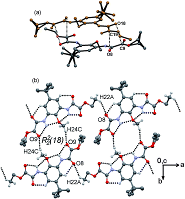 Supramolecular structure of compound 4. (a) Centrosymmetric pair linked by CO⋯CO dipolar and pd–π-stacking interactions (hydrogen atoms and t-Bu group are omitted for clarity). (b) 1-D zig-zagging tape linked through weak C24–H24C⋯O interactions along the a axis, chair like H4O4 octagons are also included.