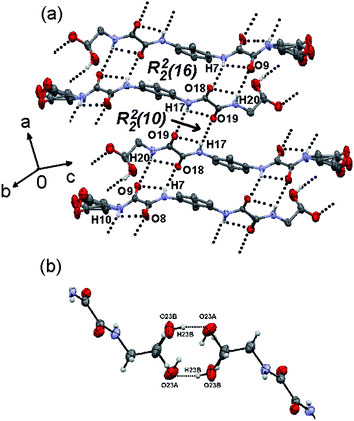 (a) Partial view of the rough complex sheet of compound 5, developed by N–H⋯O and O–H⋯O hydrogen bonding interactions in the [2 8 11] mean plane (hydrogen atoms not involved in HB have been omitted for clarity). OxalamideR22(10) and R22(16) ring motifs are clearly appreciated as well as disordered ethanolamine fragment C11–C12–O13–H13. (b) A detail of the disordered hydroxyl group O23–H23 showing the R22(8) ring motif through O–H⋯O interactions.