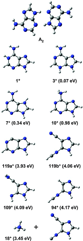 Stable geometries of neutral adenine dimer (A2), tautomers of protonated adenine (1++, 3++, 7++ and 10++) and fragments of protonated adenine (119++, 109++, 94++ and 18++). The relative energies of each structure, referring to that of the most stable tautomer of protonated adenine (1++), are given in parentheses.