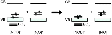 Schematic representation of interplay between the [NOB]˙ and [NiO]˙ centers in N–B co-doped TiO2.